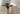 A Guide to Winter Plant Care