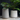 87-degrees-pot-collection