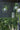 Creating a Hanging Garden