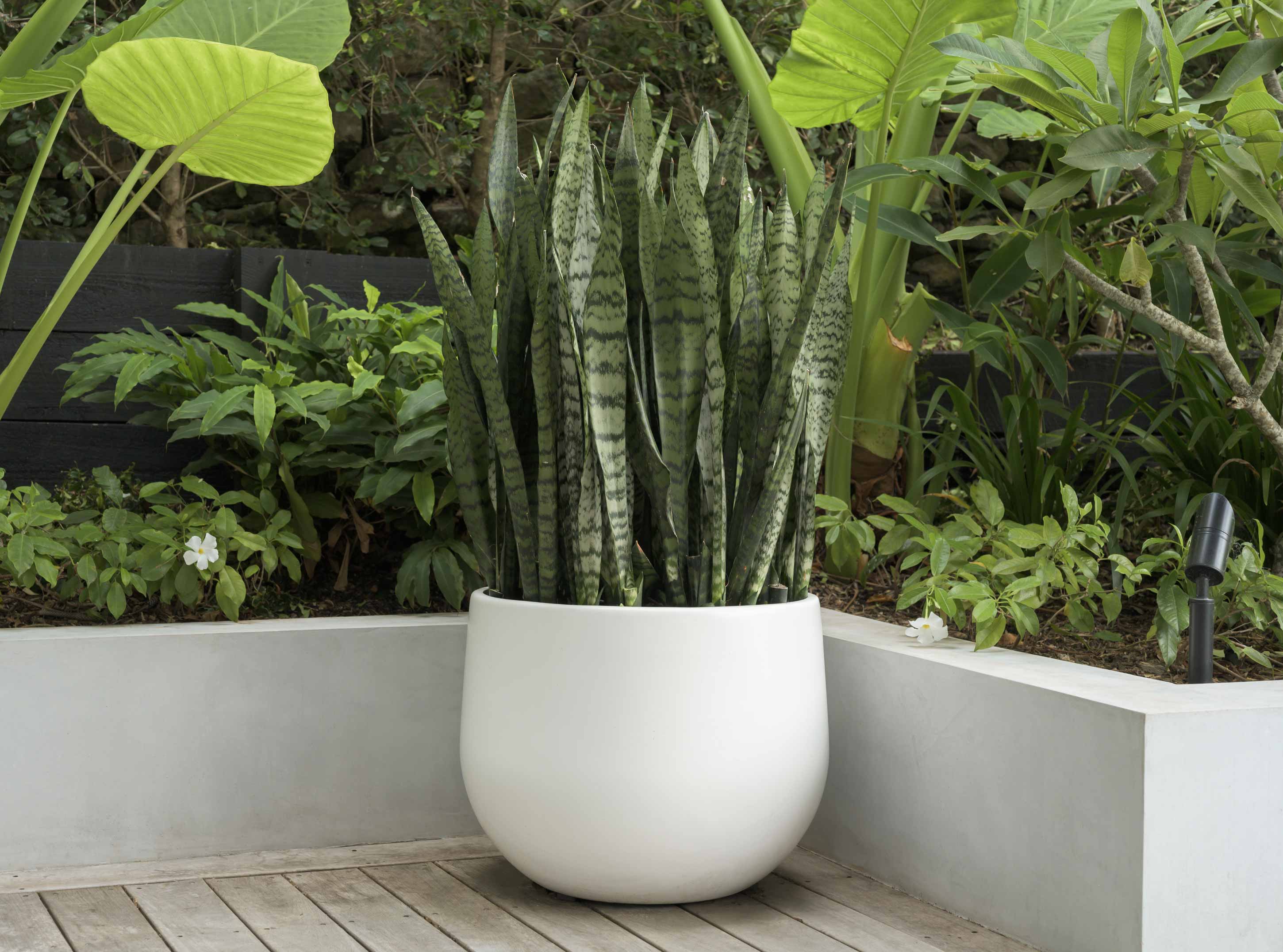 Perfect Pairings – Hibernate Outdoors