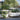 Succulents in Focus