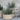 Late Summer Planting Ideas