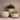 Indoor Plant Pots