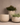 Indoor Plant Pots