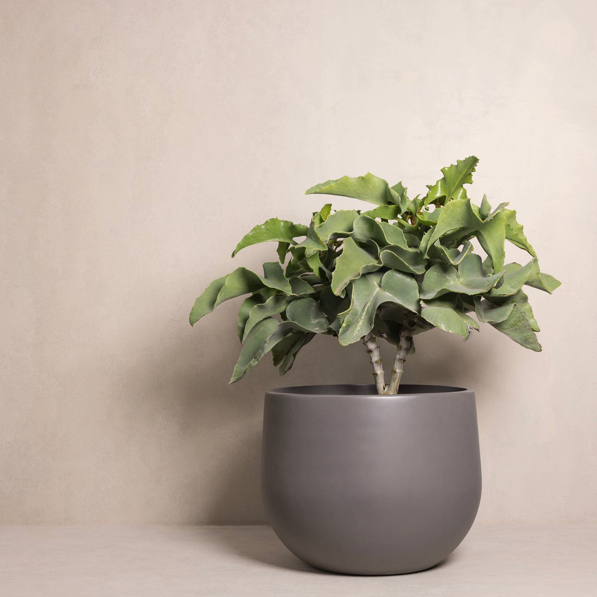 Hibernate 86 Degrees Round Slate – Hibernate Outdoors