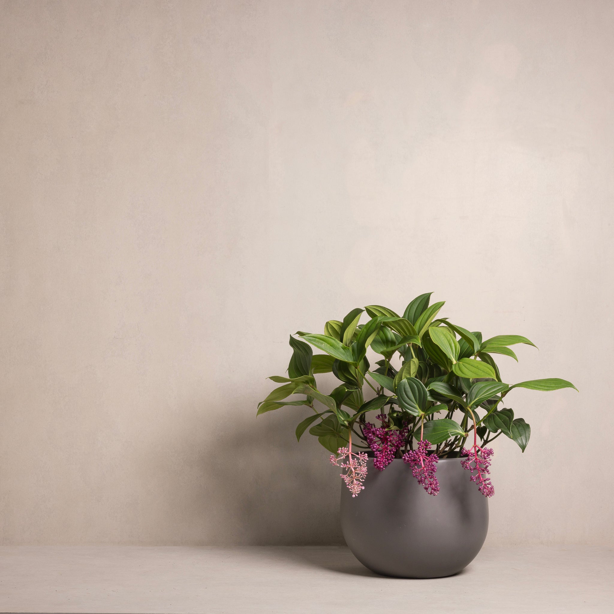 Hibernate 86 Degrees Round Slate – Hibernate Outdoors