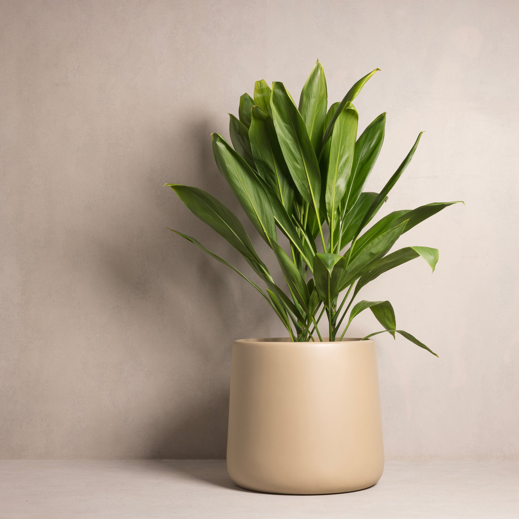 Hibernate 87 Degrees U Jar Dune – Hibernate Outdoors