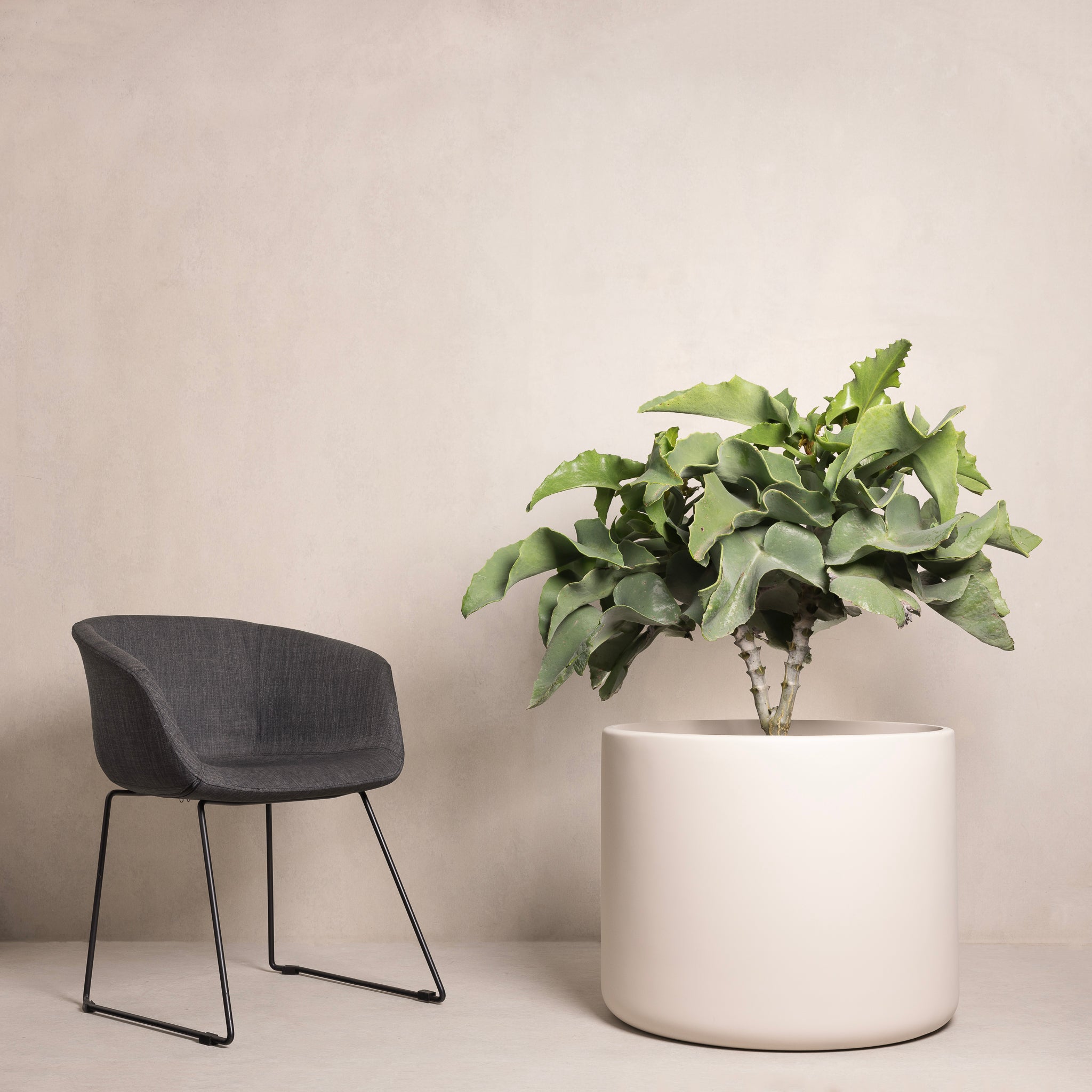 Hibernate 90 Degrees Stone – Hibernate Outdoors