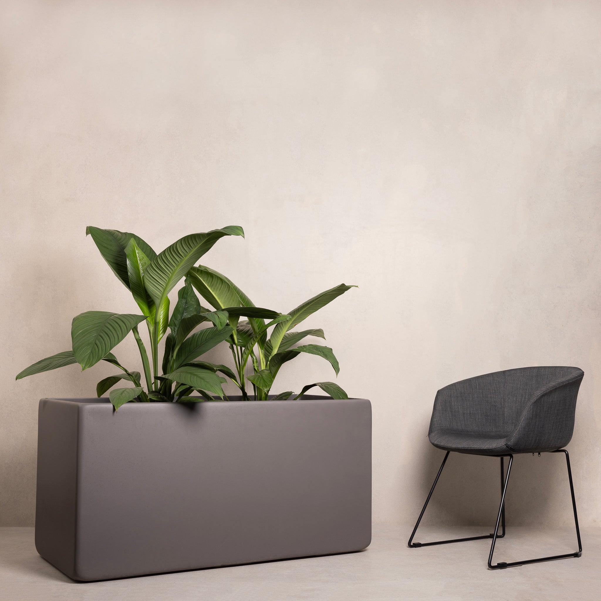 Hibernate Low Line Planter Slate – Hibernate Outdoors