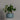 Hibernate 87 Degrees U Jar Hanging Sage