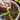 We the Wild Plant Care - Support
