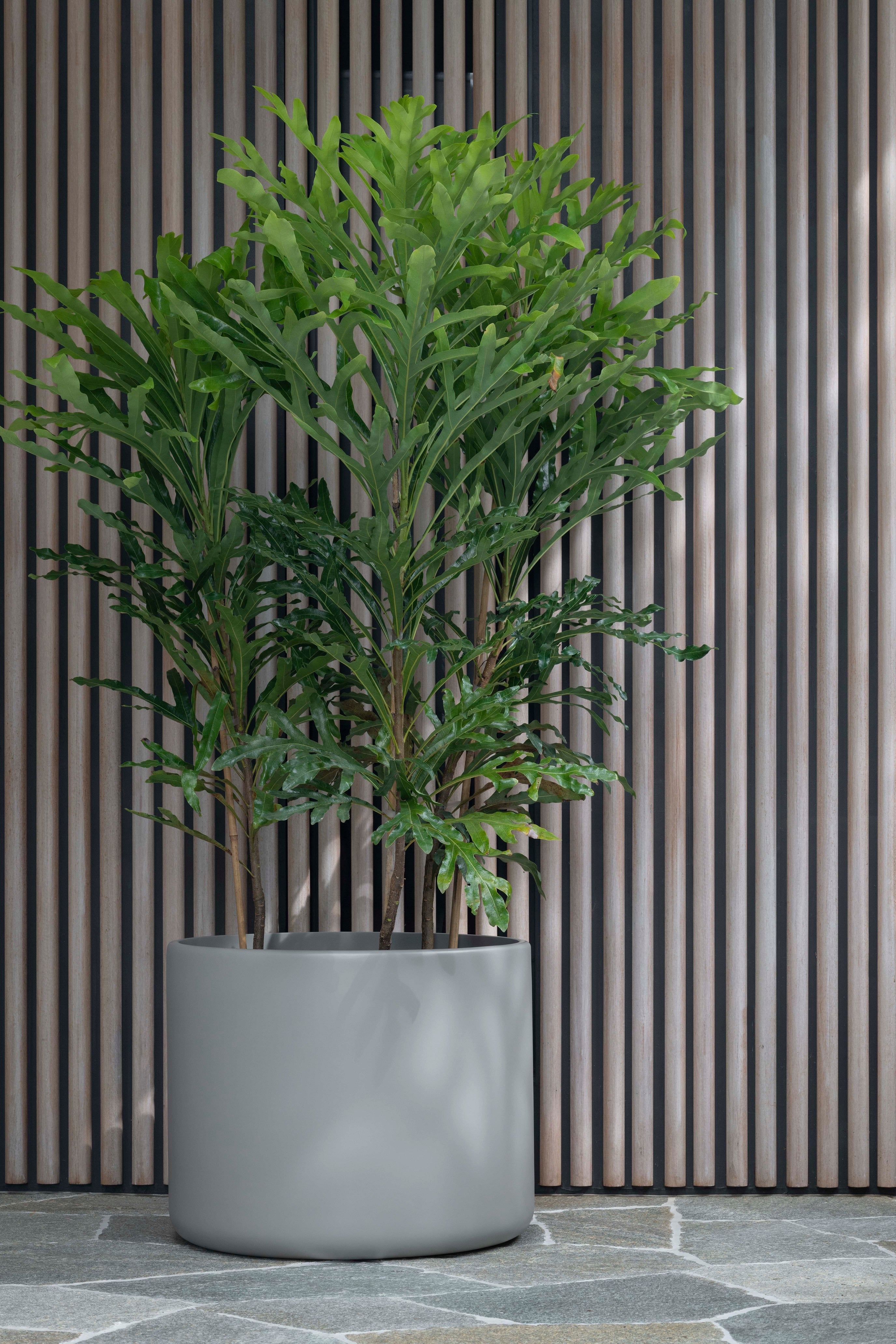 Hibernate 90 Degrees Clay – Hibernate Outdoors