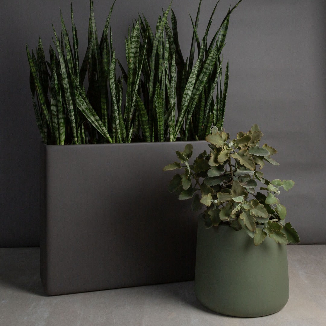 Hibernate 87 Degrees U Jar Olea – Hibernate Outdoors