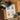 The Plant Runner - Plant Care Booster Kit